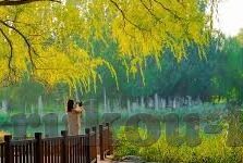 开云体育客户端-重塑数字体育新体验，开云体育客户端的创新之旅
