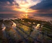 足球比分即時-足球比分即时，一场数字背后的激情与悬念交响曲